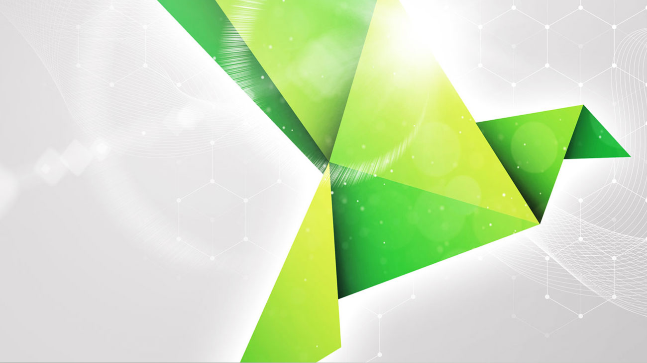 Berggren_Header_lintu-oikealla_1300x731